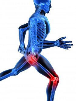 hip and knee pain indianapolis
