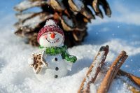 Happy Holiday Snow Man